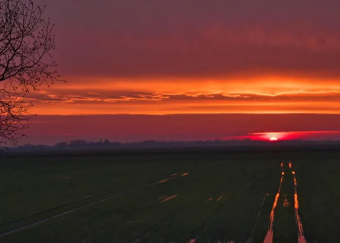 Haus Rungholt Casa de hóspedes 3*